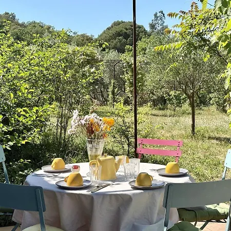 Apartment T3 Chez L'apiculteur, Piscine, Parking, Petanque Roquebrune-sur-Argens