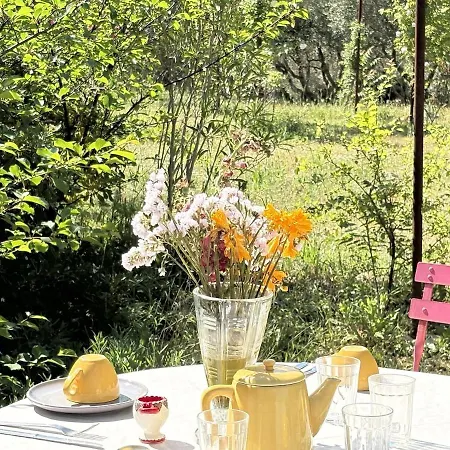 Apartment T3 Chez L'apiculteur, Piscine, Parking, Petanque Roquebrune-sur-Argens